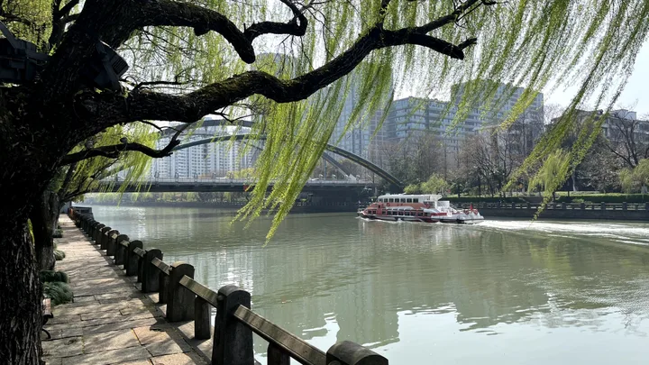柳树下的运河与石栏